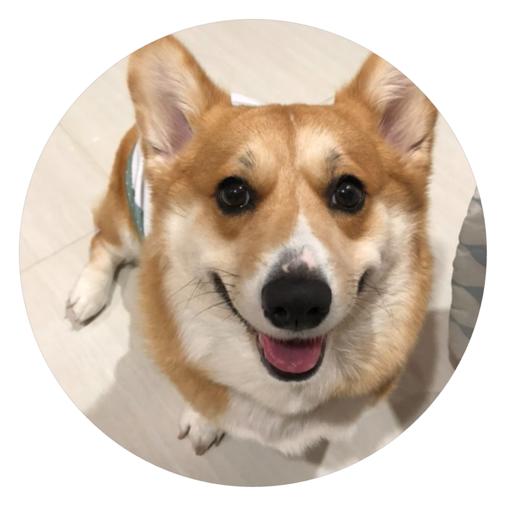 Brenna, the couple's smiling corgi
